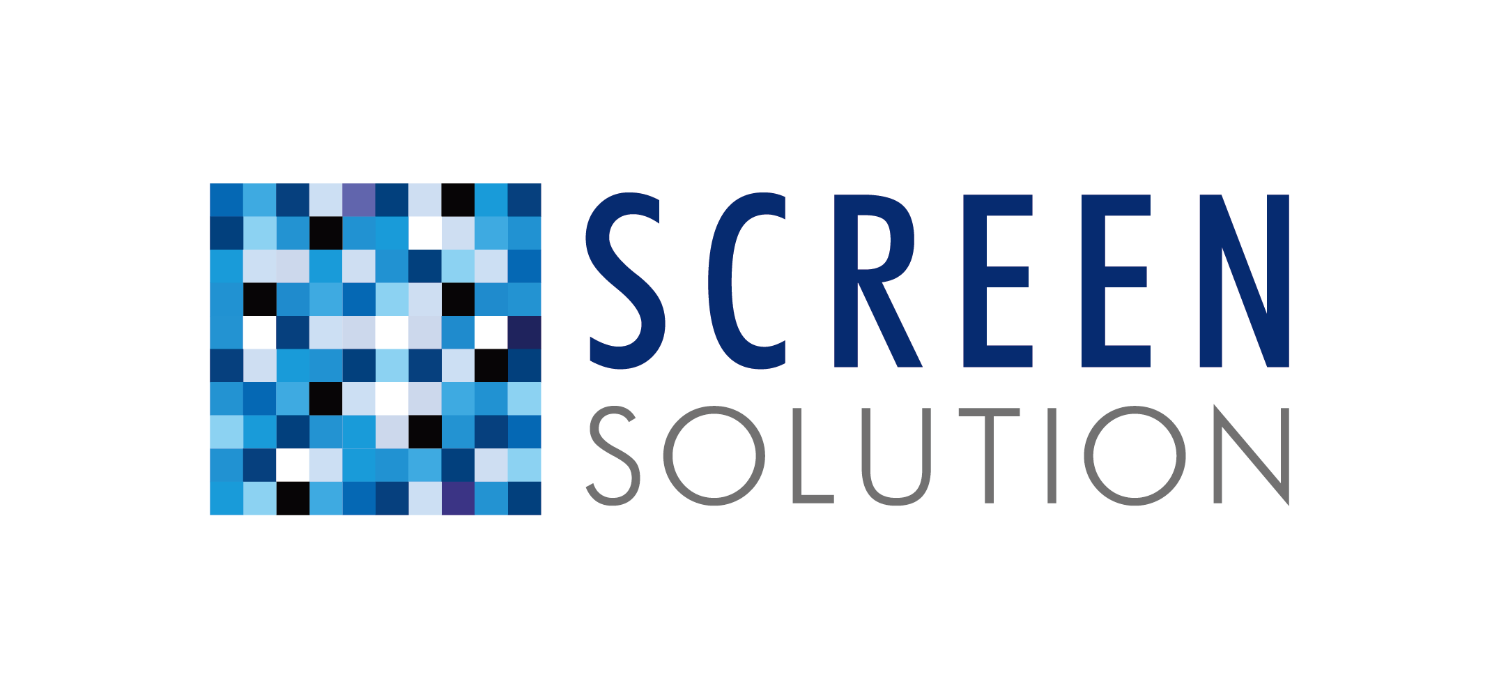 SCREEN SOLUTION スクリーン